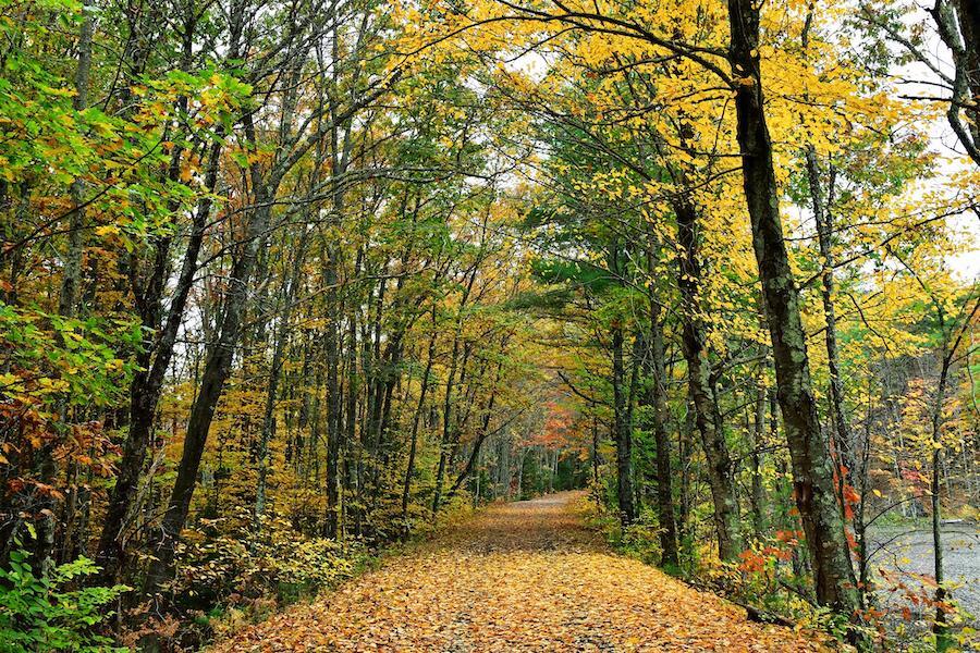 New Hampshire's Rockingham Recreational Rail Trail (Portsmouth Branch) | Photo by TrailLink user sc302