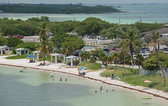 Photo © Josh Ritchie