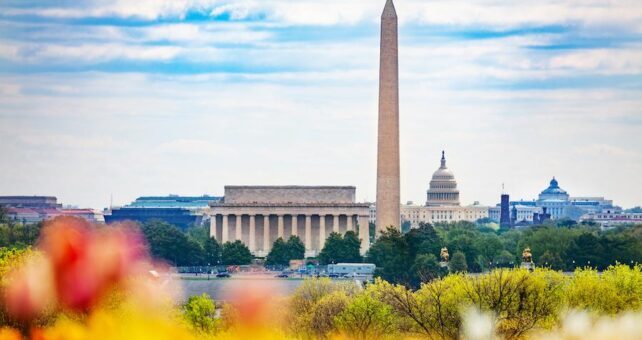 National mall Lincoln memorial Washington Monument obelisk and United States Capitol Building behind the tulips