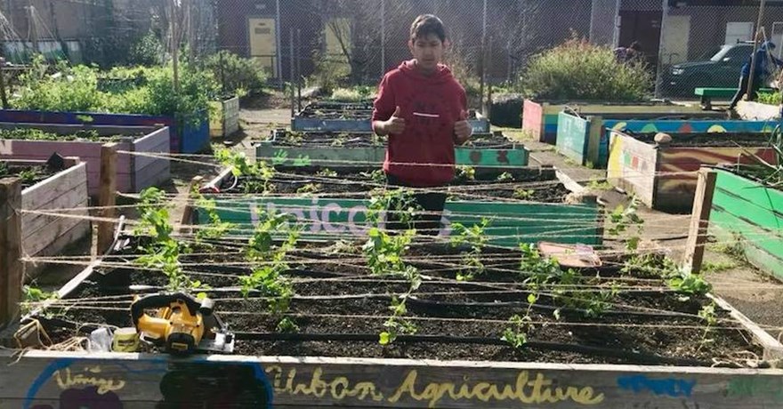 Urban Tilth community garden | Photo courtesy Urban Tilth