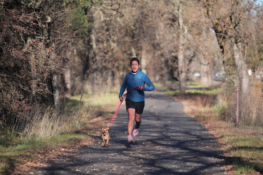 California's Napa Valley Vine Trail | Courtesy Napa Valley Vine Trail Coalition