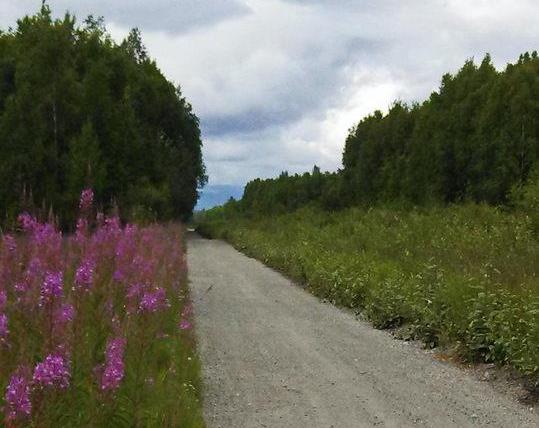 Alaska's Chase Trail | Photo by TrailLink User drandlomb