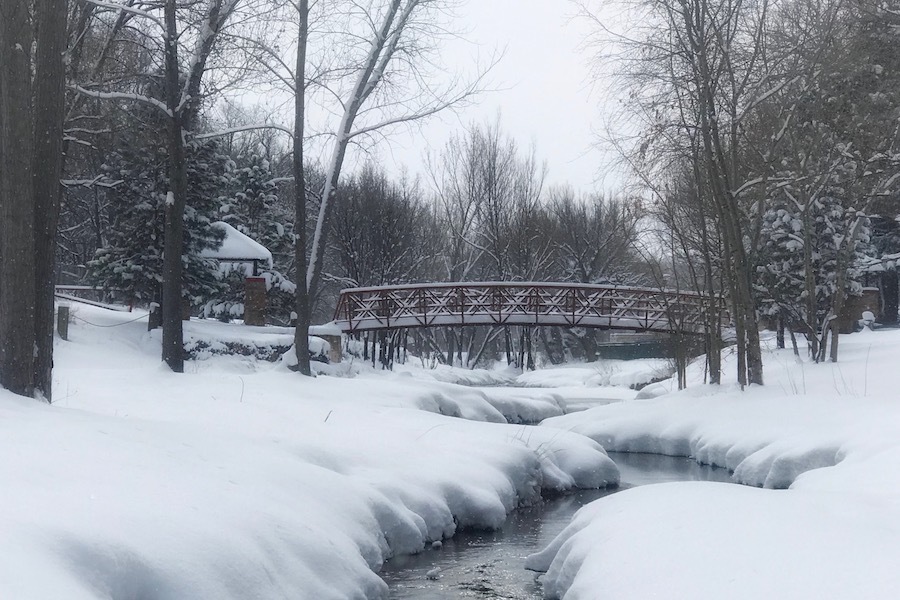 Cinder Road River Trail (Gallinas River Walk) | Courtesy Hermit's Peak Watershed Alliance