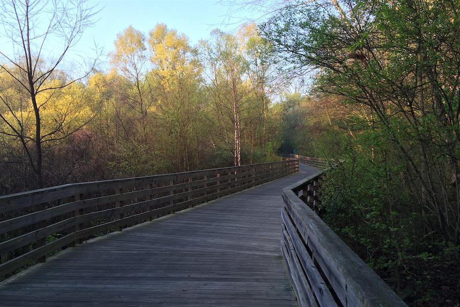 Georgia's Big Creek Greenway | Photo by TrailLink user tombell30075