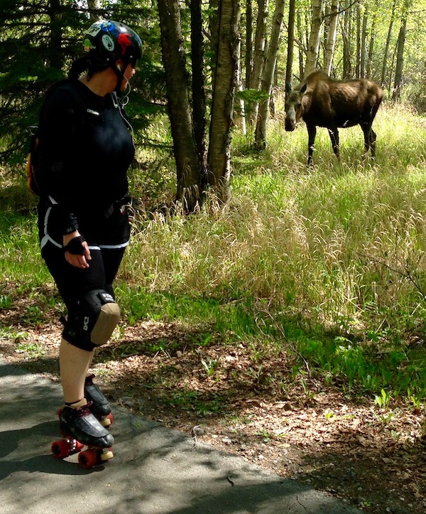 Moose along the Tony Knowles Coastal Trail | Photo by Willie Karidis