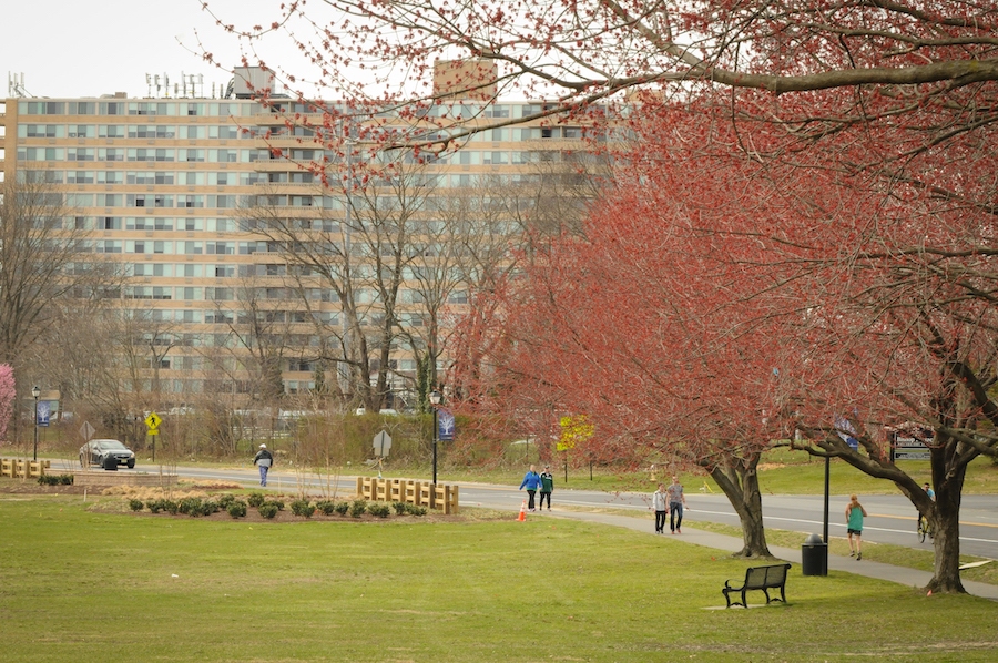 New Jersey's Cooper River Trail | Photo by Laura Pedrick:AP Images
