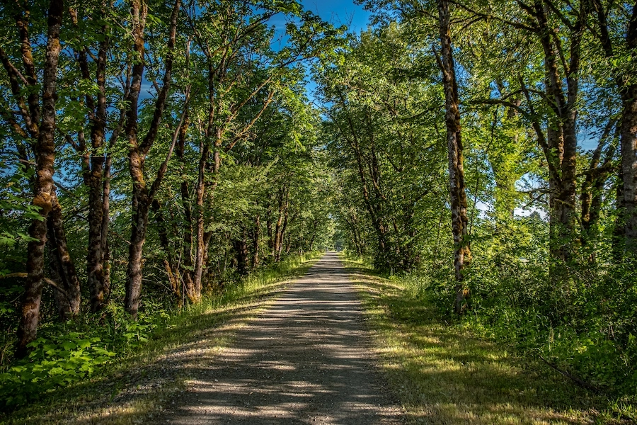 Snoqualmie Valley Trail | Photo by Eli Brownell, courtesy King County Parks 3