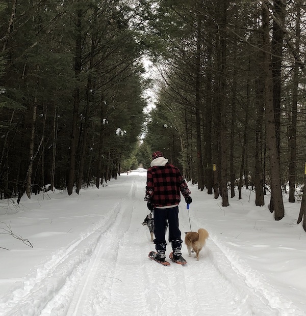 Snowshoer on the O&W Rail Trail | Courtesy Hal Simon