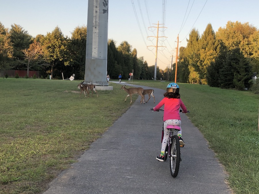 Trolley Line Trail | Photo by Silvia Ascarelli