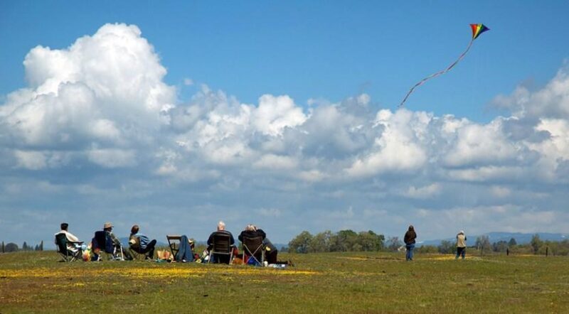 Group picnic and flying kites - Photo by Scott Jungling