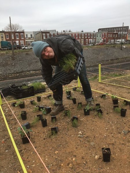 Landscaping pilot | Photo courtesy RTC