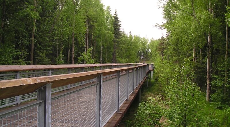 Alaska's Campbell Creek Trail | Photo by Eric Oberg