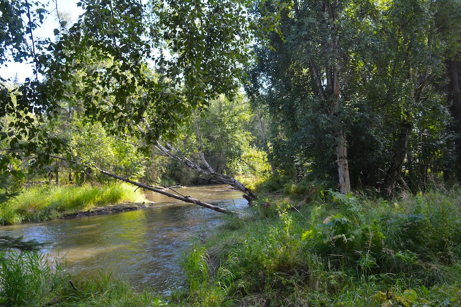 View of Anchorage's Campbell Creek | Photo courtesy Anchorage Park Foundation