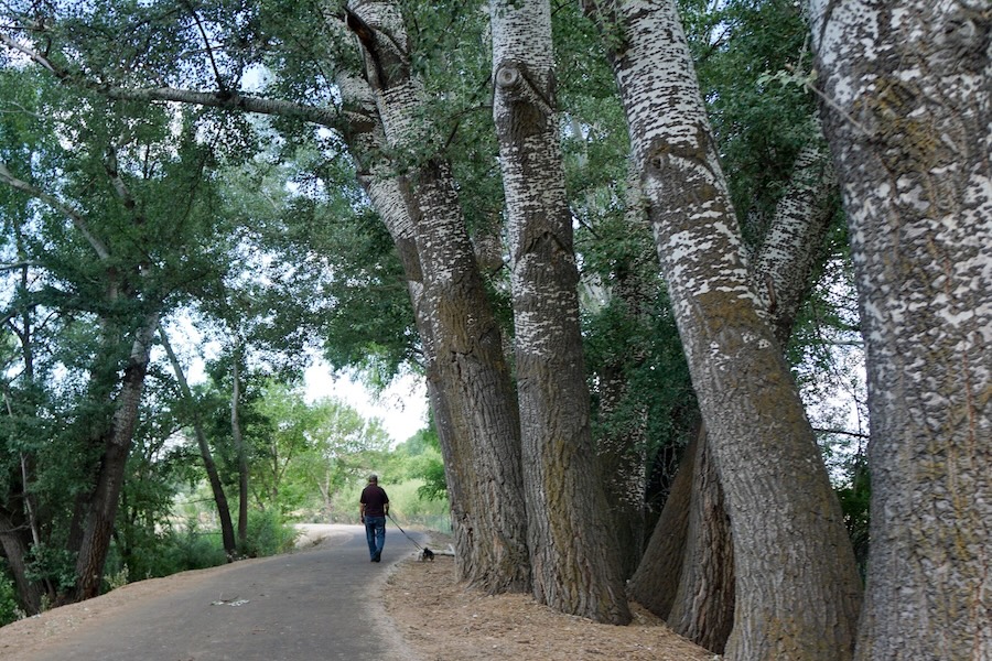 Provo, Utah, resident Mike Marler walks his dogs Luna and Coda along the 15.2-mile Provo River Parkway, which runs from the Utah State Lake to the mouth of Provo Canyon. | Photo by Cindy Barks