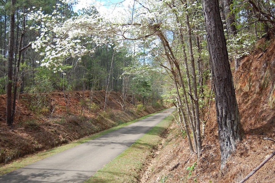 Stretching over 42 miles from Hattiesburg to small-town Prentiss, Mississippi’s Longleaf Trace visits wetlands, small lakes and pine forests that include the trail’s namesake, the longleaf pine. Photo by Jake Lynch.