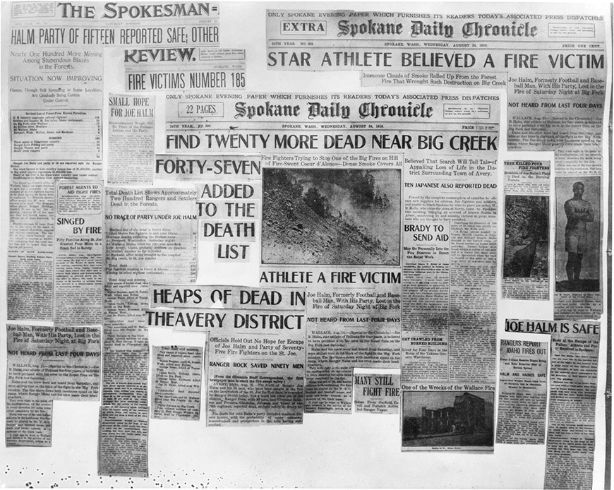 Newspaper clippings | Photo courtesy of Forest History Society, Durham, NC