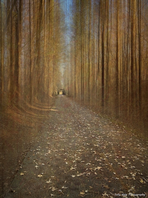 Georgia's Silver Comet Trail | Photo by Sally Hale Photography