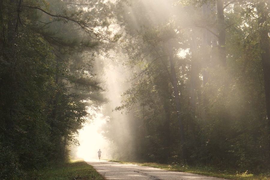 Louisiana's Tammany Trace | Photo by Mark Orfila