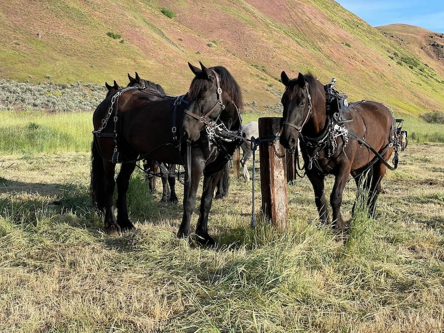 Idaho's Weiser River Trail | Photo by Mike Beavers
