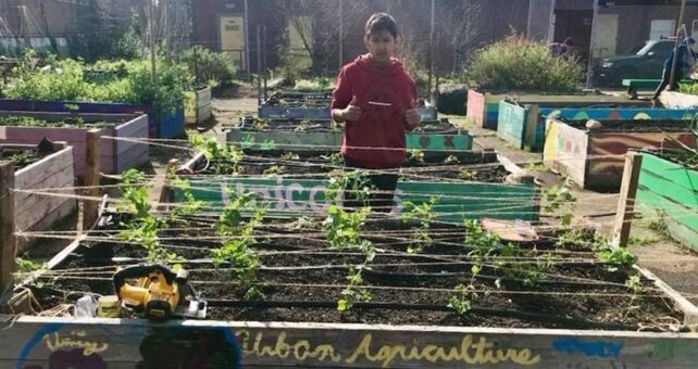 Urban Tilth community garden | Photo courtesy Urban Tilth