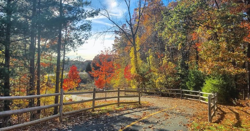 Connecticut's Charter Oak Greenway | Photo by TrailLink user ctaci