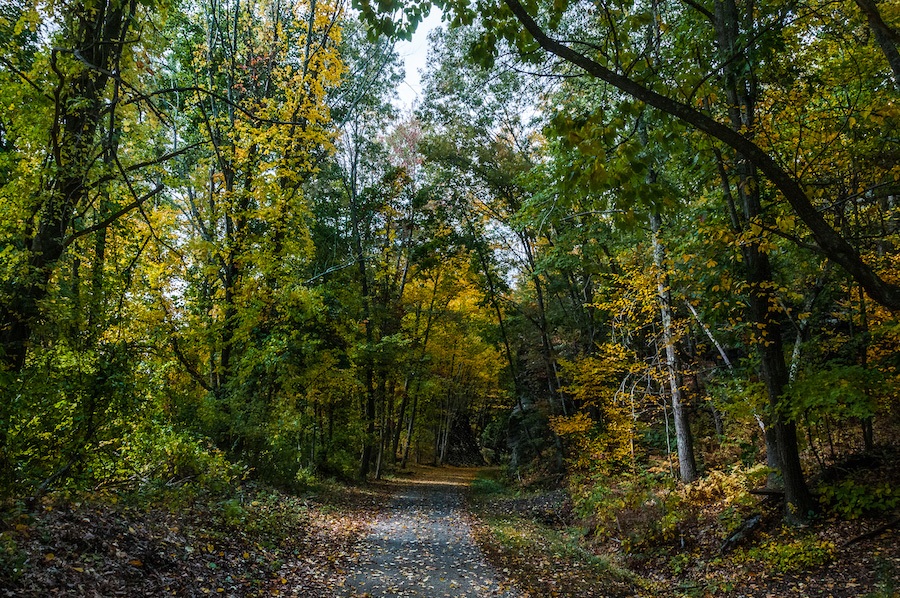 Connecticut's Hop River State Park Trail | Photo by Bill Cannon