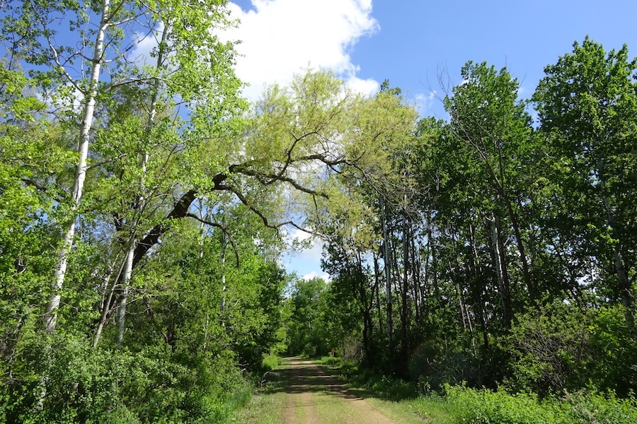 Gandy Dancer Trail is part of Wisconsin's Ice Age Trail | Photo by Amy Bayer