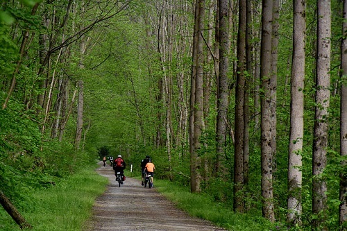 Great Allegheny Passage | Photo by Cleo Fogal
