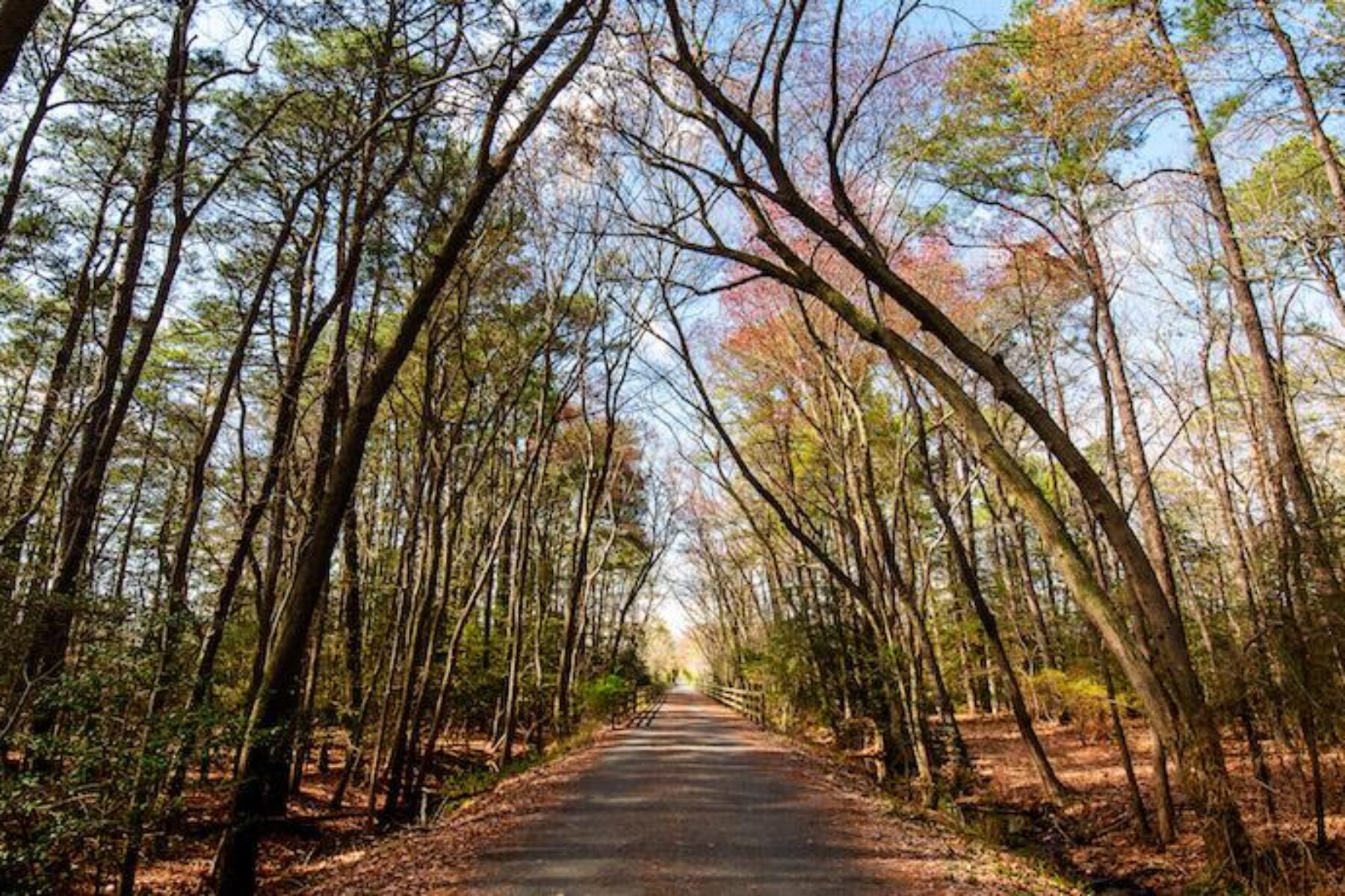 Junction and Breakwater Trail | Courtesy Delaware State Parks