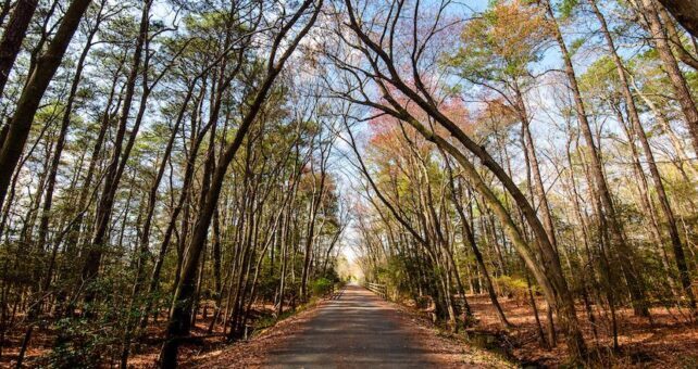 Junction and Breakwater Trail | Courtesy Delaware State Parks