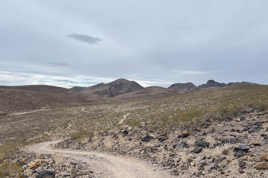 Nevada's Anthem East Trail | Photo by Traillink User stardustfallout