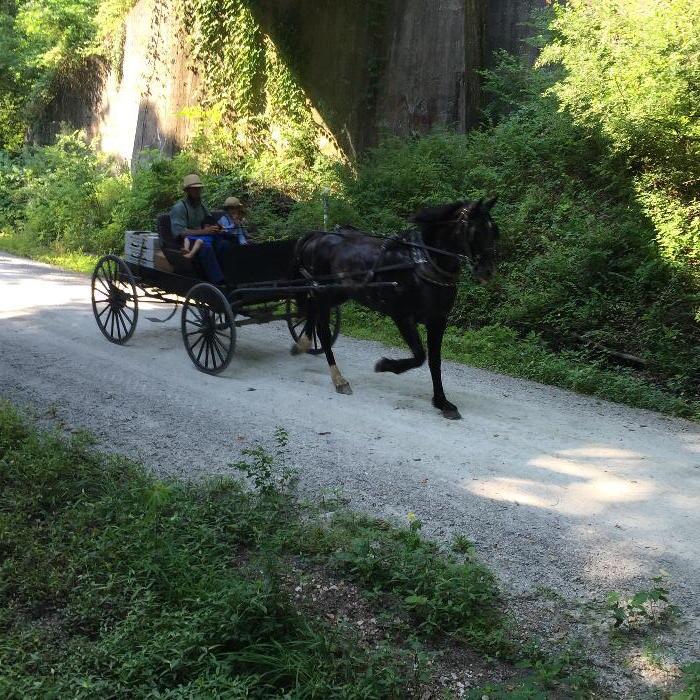 Photo by Danielle Taylor