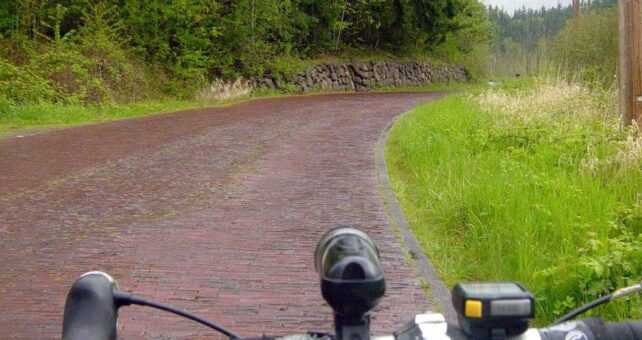 Red Brick Road | Photo by Gene Bisbee