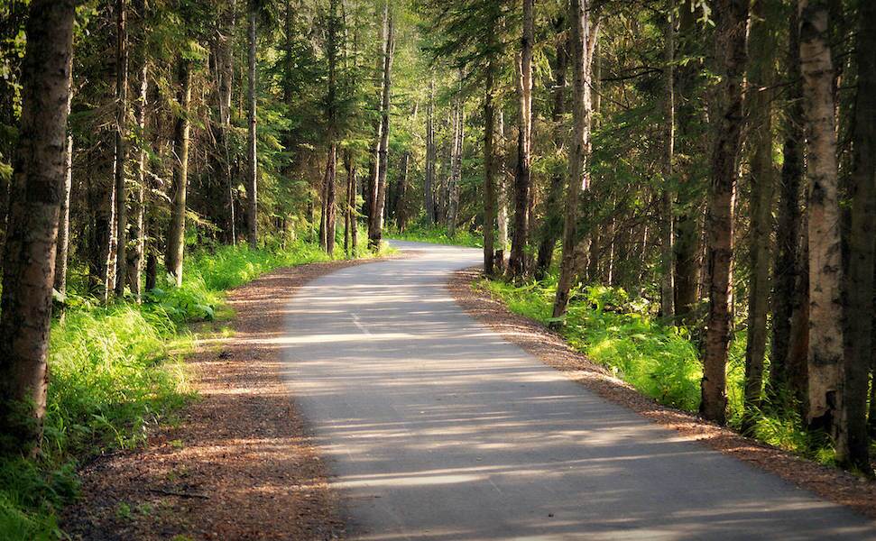 Tony Knowles Coastal Trail | Photo by Kelly Leavitt, Luv Duck Photography