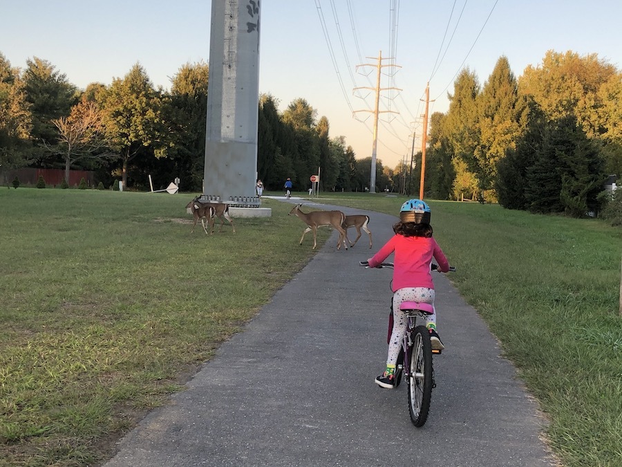 Trolley Line Trail | Photo by Silvia Ascarelli