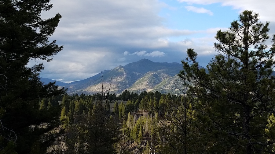 View from the rail-trail in Thompson Park | Photo by Jocelyn Dodge