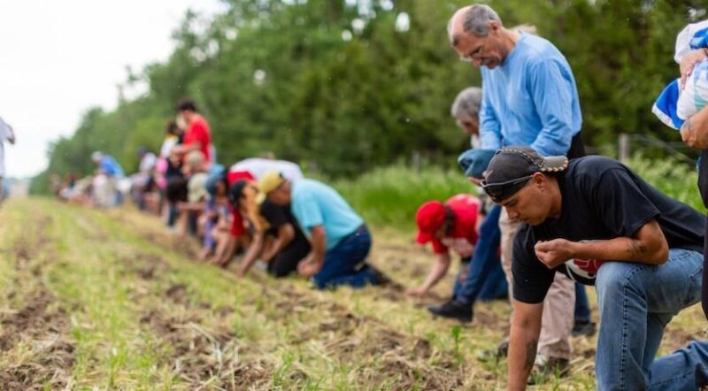 Volunteers participate in a sacred corn planting in 2019, sowing the seeds by hand. | Photo by Alex Matzke, courtesy Bold Nebraska