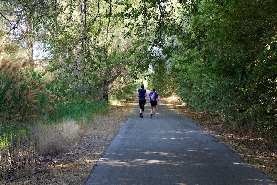 The long shady stretch of the Denver and Rio Grande Western trail in Clinton, Utah, makes for a popular walking spot on summer days. The 23.5-mile rail-trail connects up with the Legacy Parkway Trail. | Photo by Cindy Barks The long shady stretch of the Denver and Rio Grande Western trail in Clinton, Utah, makes for a popular walking spot on summer days. The 23.5-mile rail-trail connects up with the Legacy Parkway Trail. | Photo by Cindy Barks
