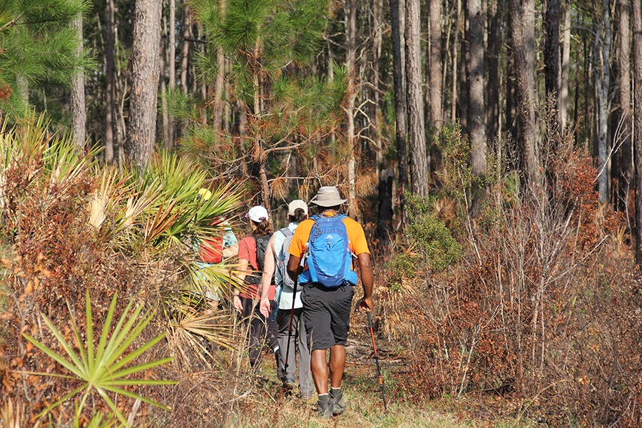 Hikers within the Florida Wildlife Corridor's Etoniah Creek State Forest | Photo courtesy Florida Wildlife Corridor Foundation