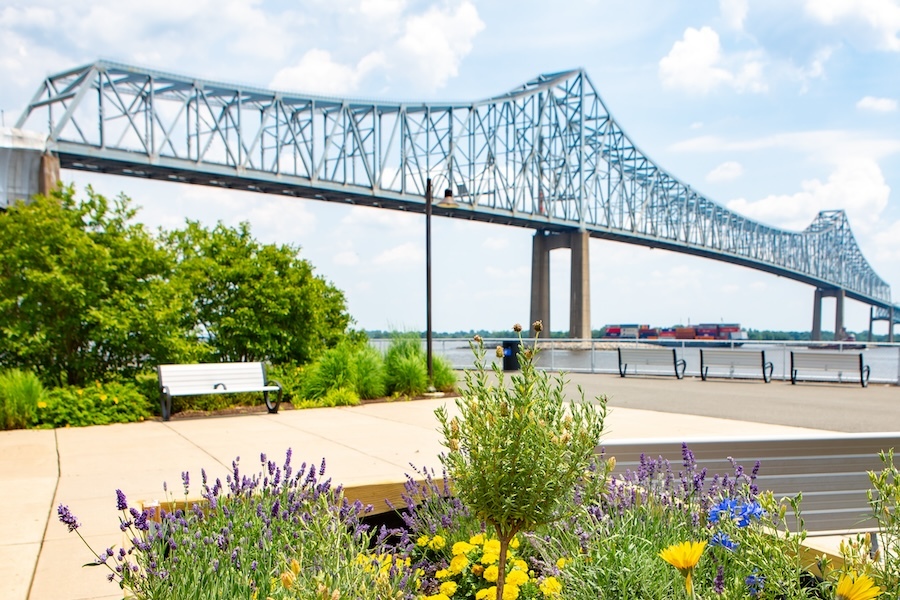 Photo by Thom Carroll