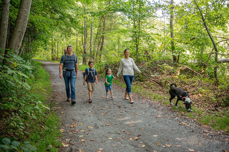 The Greenbrier River Trail meanders through 77 miles in Pocahontas County and Greenbrier County (pictured here) in West Virginia. | Courtesy Experience Greenbrier Valley