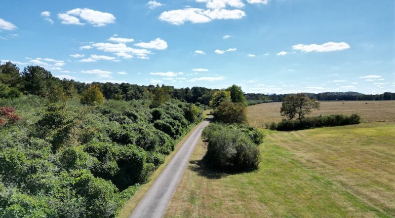Drone photo of Chief Ladiga Trail in Jacksonville, Alabama | Photo courtesy Ben Nunnally, City of Jacksonville