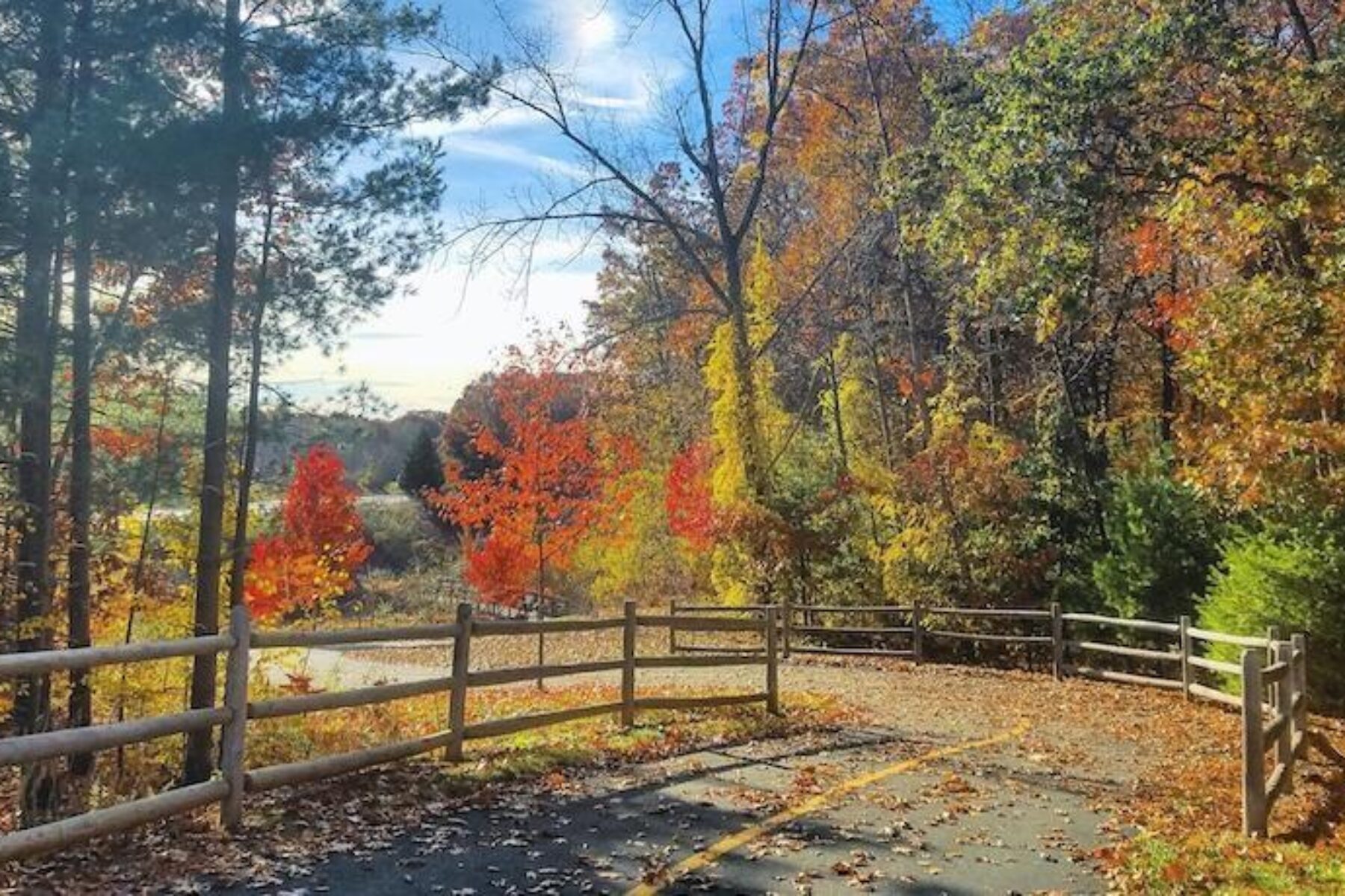 Connecticut's Charter Oak Greenway | Photo by TrailLink user ctaci