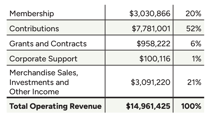 Fiscal Year 2025 Revenue table