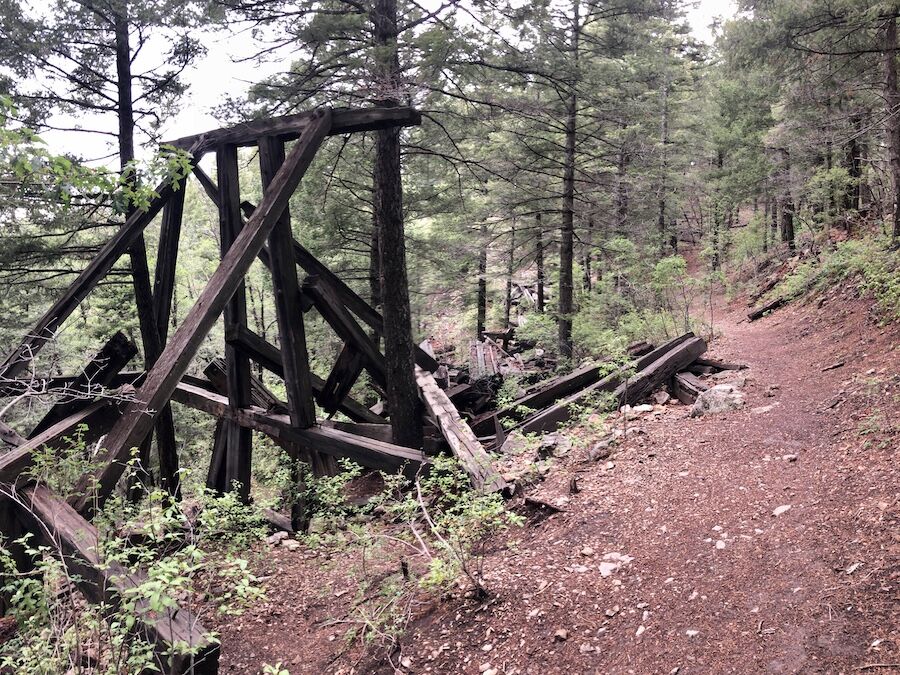The “S” Trestle was one of the intriguing features of the Cloud-Climbing Railroad near Cloudcroft. The supporting structure featured two 30-degree turns and was 338 feet long and 60 feet high. It was one of 58 timber trestles along the Alamogordo and Sacramento Mountain Railway (A&SM). Today, the remains of the “S” trestle can be seen along the trail to the Mexican Canyon Trestle. | Photo by Cindy Barks The “S” Trestle was one of the intriguing features of the Cloud-Climbing Railroad near Cloudcroft. The supporting structure featured two 30-degree turns and was 338 feet long and 60 feet high. It was one of 58 timber trestles along the Alamogordo and Sacramento Mountain Railway (A&SM). Today, the remains of the “S” trestle can be seen along the trail to the Mexican Canyon Trestle. | Photo by Cindy Barks