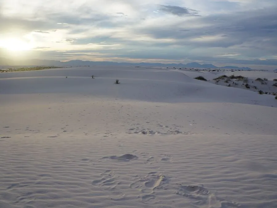 The snowy-white dunes of White Sands National Park take on a pastel hue at sunset. | Photo by Cindy Barks The snowy-white dunes of White Sands National Park take on a pastel hue at sunset. | Photo by Cindy Barks