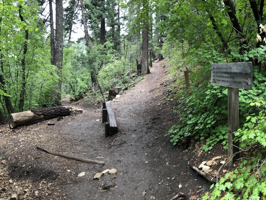 The trail to the Mexican Canyon Trestle winds through heavily forested terrain in Lincoln National Forest and includes a number of switchbacks, such as this one at the intersection of the Crossover Trail and the Cloud-Climbing Trestle Trail. | Photo by Cindy Barks The trail to the Mexican Canyon Trestle winds through heavily forested terrain in Lincoln National Forest and includes a number of switchbacks, such as this one at the intersection of the Crossover Trail and the Cloud-Climbing Trestle Trail. | Photo by Cindy Barks