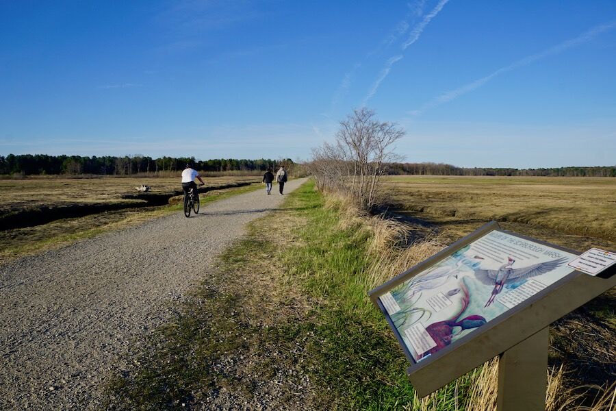 Continuing south from the South Portland area, the Scarborough Marsh is the Eastern Trail’s next major attraction, with its wide flat surface and scenic terrain. Photo by Cindy Barks. Continuing south from the South Portland area, the Scarborough Marsh is the Eastern Trail’s next major attraction, with its wide flat surface and scenic terrain. Photo by Cindy Barks.