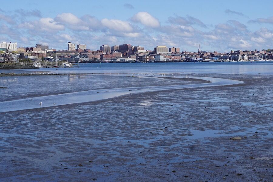 Ebbing tides in Maine’s Casco Bay reveal the sandy bottom of the bay, framed by Portland’s skyline. The Eastern Trail/South Portland Greenbelt runs along the shoreline of the bay for a time and offers expansive views of the area. Photo by Cindy Barks. Ebbing tides in Maine’s Casco Bay reveal the sandy bottom of the bay, framed by Portland’s skyline. The Eastern Trail/South Portland Greenbelt runs along the shoreline of the bay for a time and offers expansive views of the area. Photo by Cindy Barks.