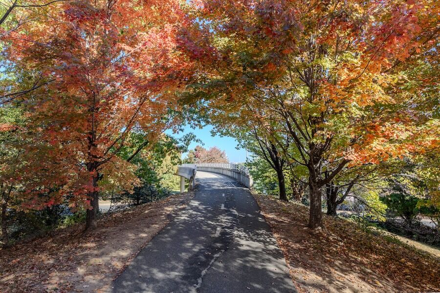VA_Mount Vernon Trail_ByAsaPhotography, Friends of the Mount Vernon Trail_021 Virginia's Mount Vernon Trail | Photo By Asa Photography, courtesy Friends of the Mount Vernon Trail